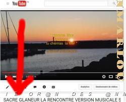 1 un sacre glaneur 25 02 2016_000006 version musicale.JPG